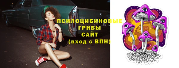 соль ск Балабаново