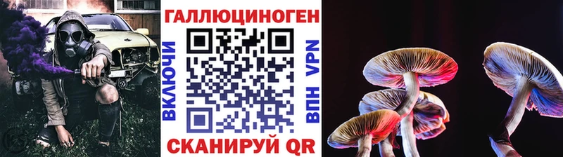 Галлюциногенные грибы мицелий  магазин продажи наркотиков  Гаврилов-Ям 